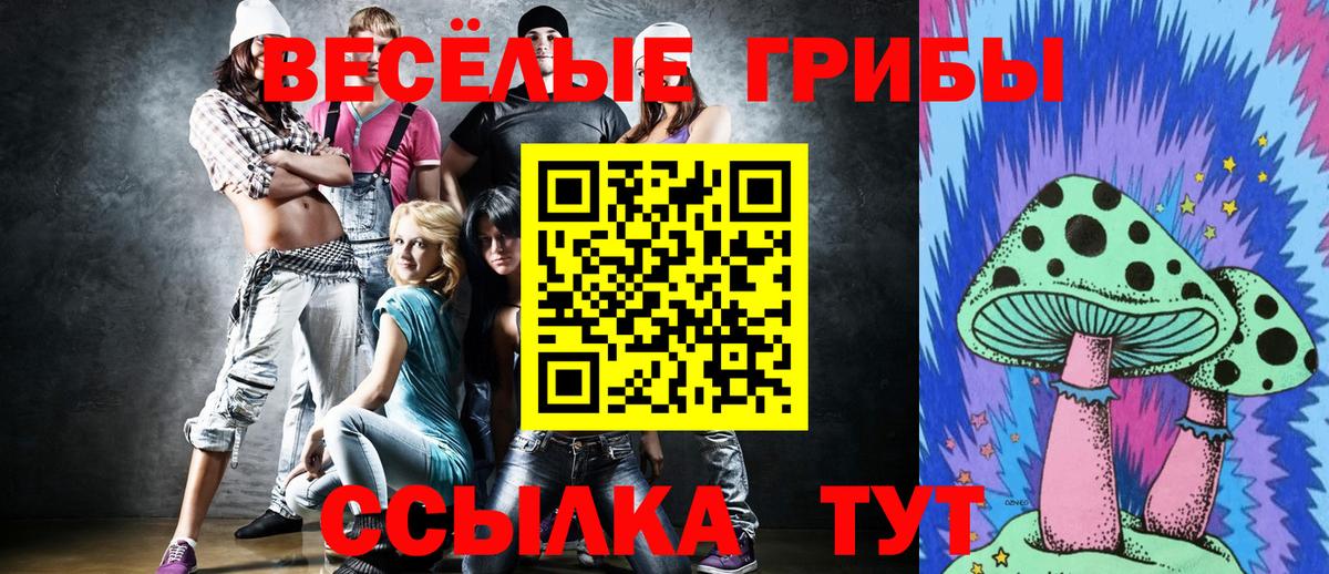 где найти наркотики  Псилоцибиновые грибы Psilocybe  Вход с VPN  Псилоцибиновые грибы мухоморы  Кувандык 