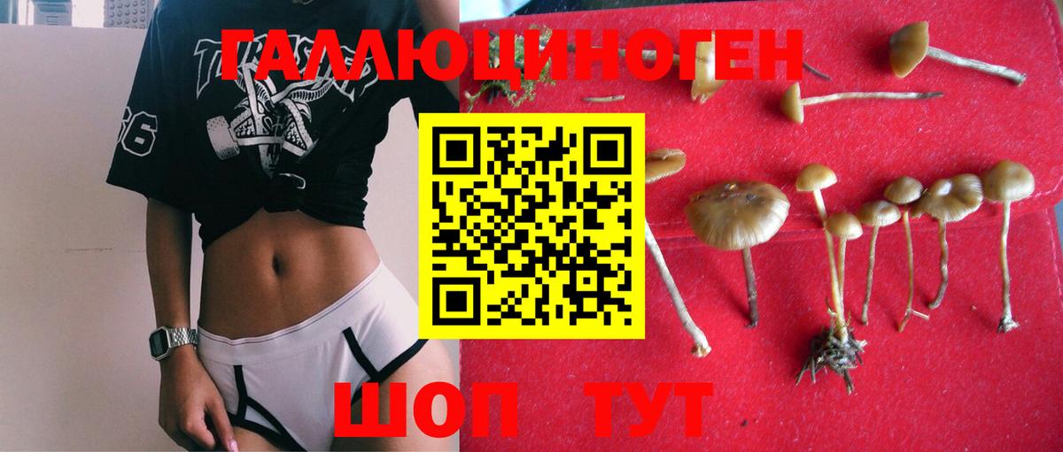 Псилоцибиновые грибы мицелий Кувандык
