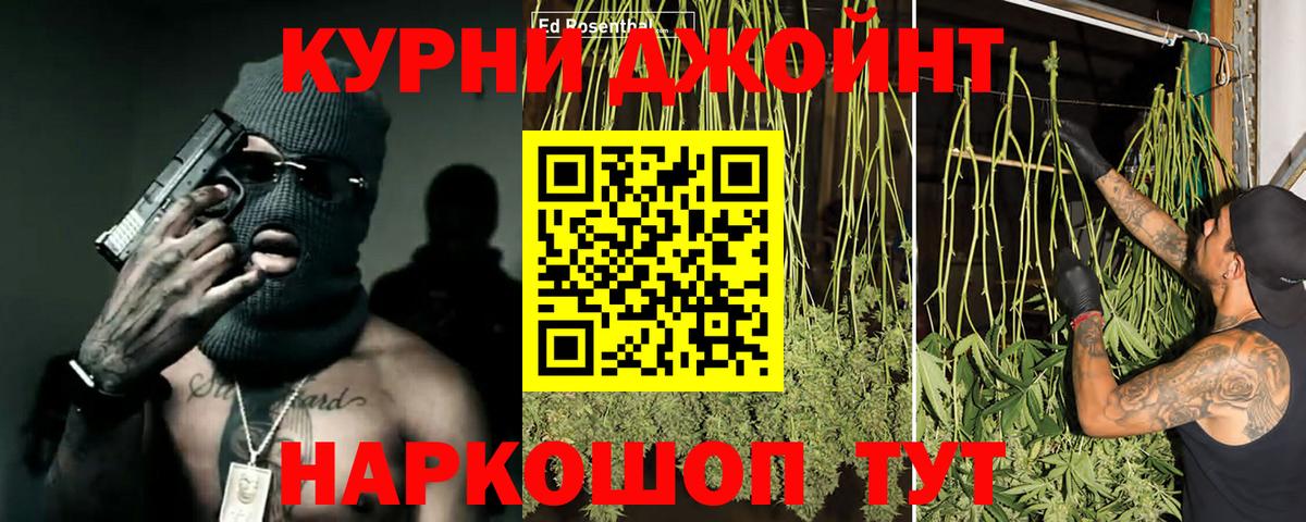 МАРИХУАНА планчик  Вход с VPN  Кувандык  Марихуана сатива  Конопля LSD WEED 